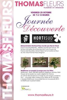 Démonstration chez Thomas Fleurs