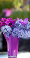 Oh Mamy Blue
