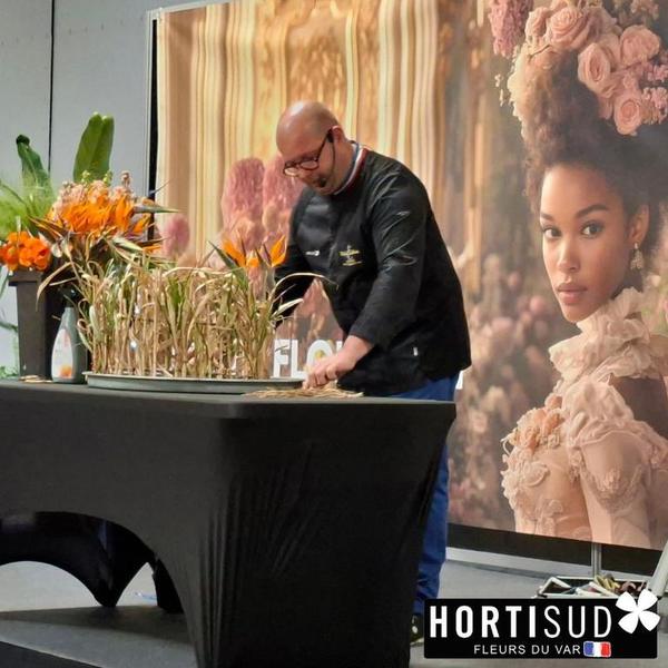 actu site Hortisud.jpg