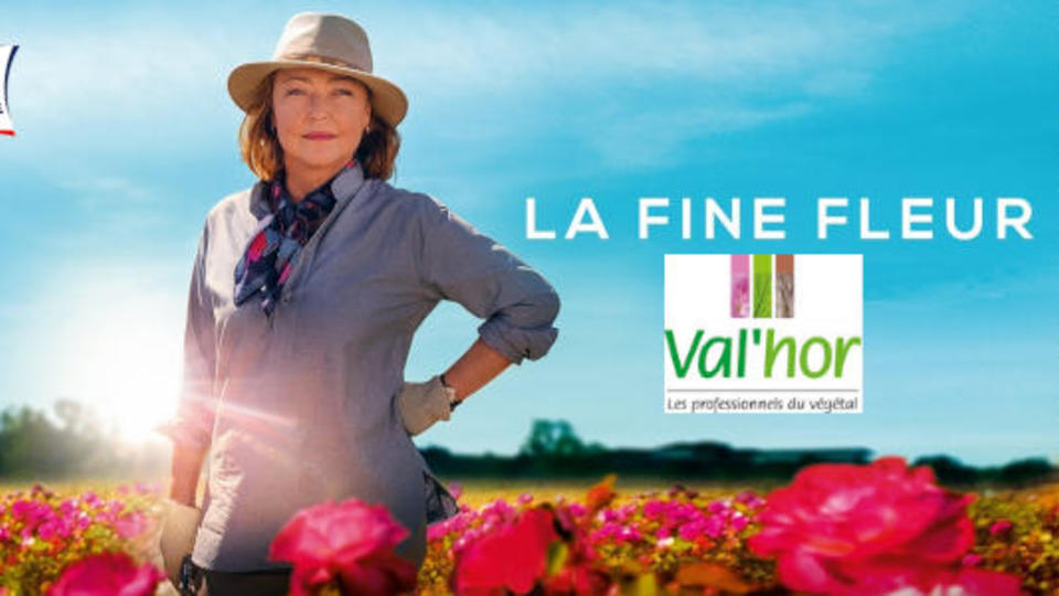 bannière la fine fleur