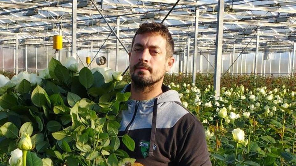 benjamin producteur roses.jpg