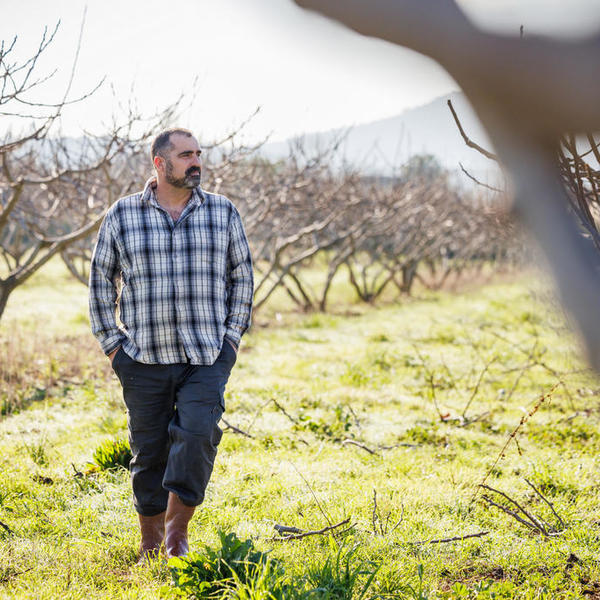 daniel suzanne producteur pivoines