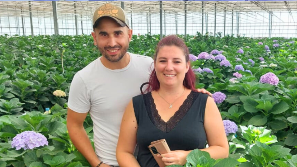 garcia-horticulture-var-hortisud-hortensia.png