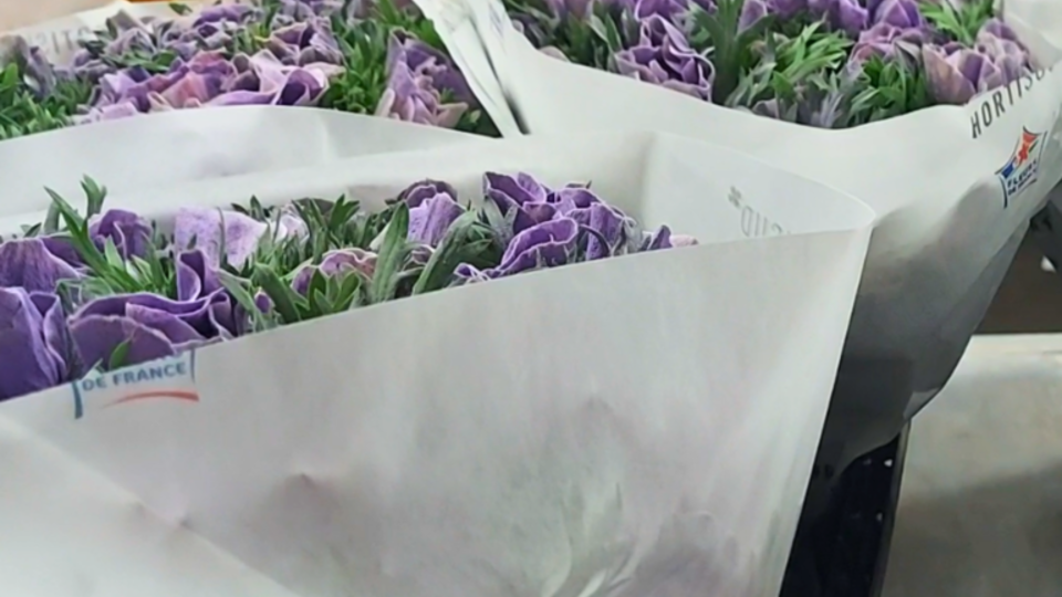 hortisud-emballages-papier.png