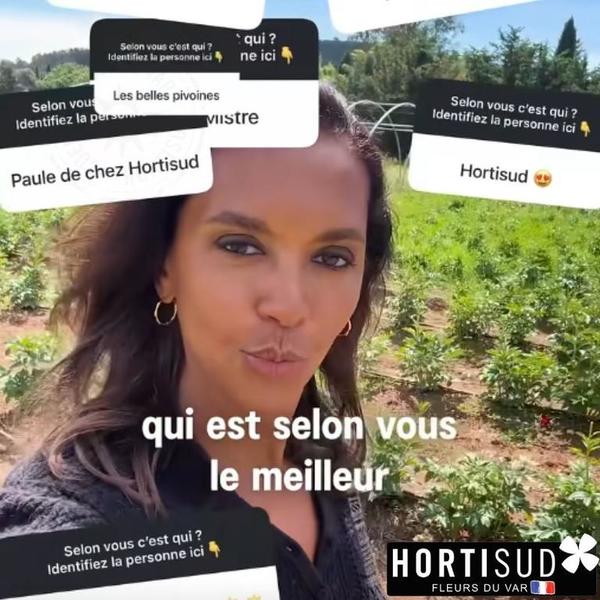Karine Le Marchand fleurs Var pivoines