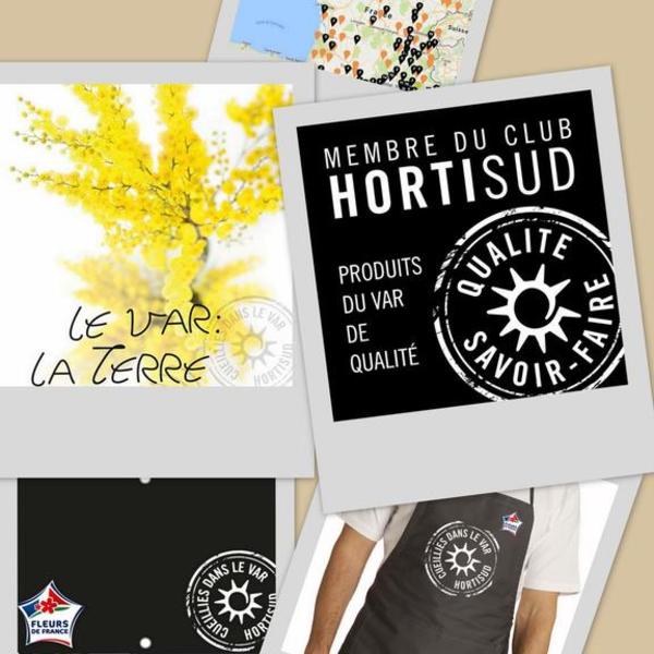 kit club Hortisud