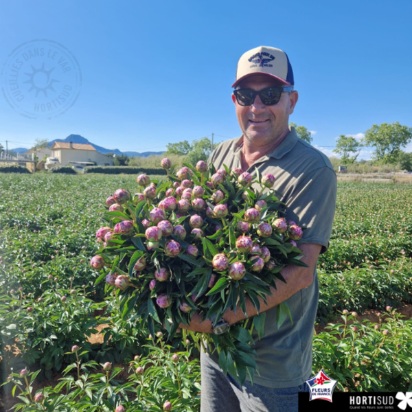 marc-long-producteur-pivoines.png