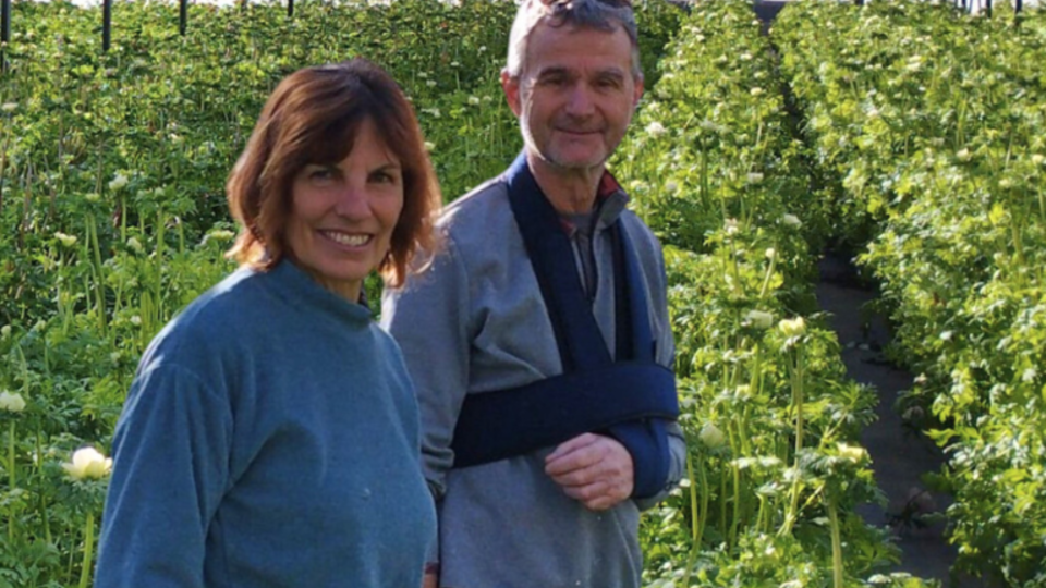 producteur-anemones-france.png