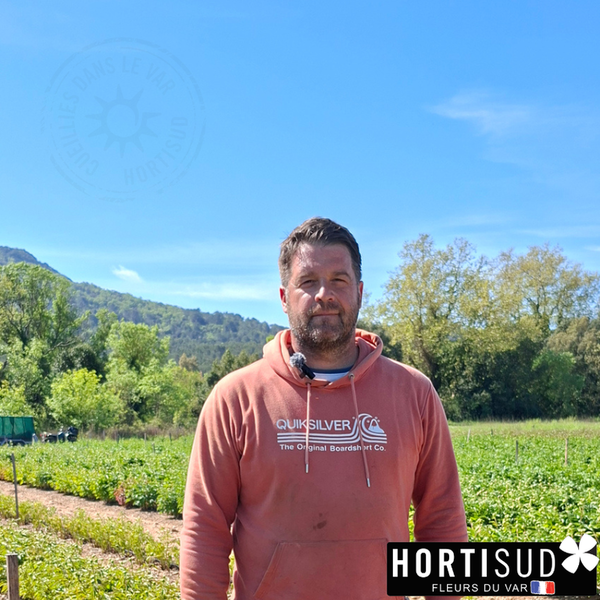 producteur-pivoines-var-france-hortisud.png