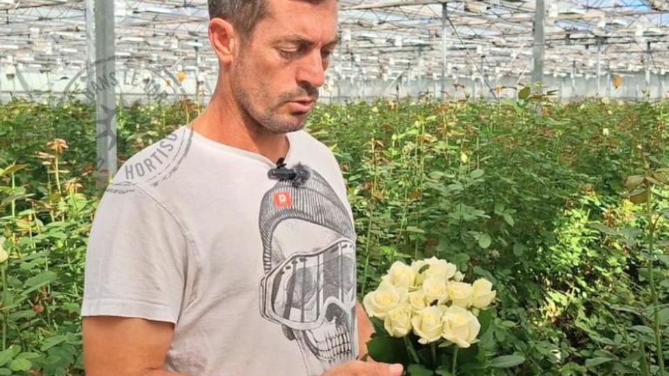 rose-été-france-var-producteur.jpg