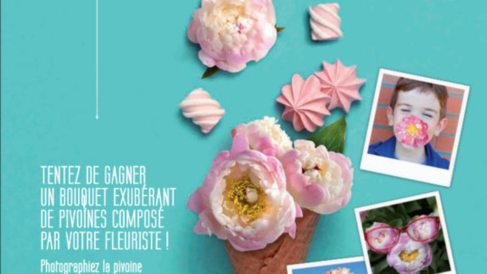 affiche dinguedepivoine