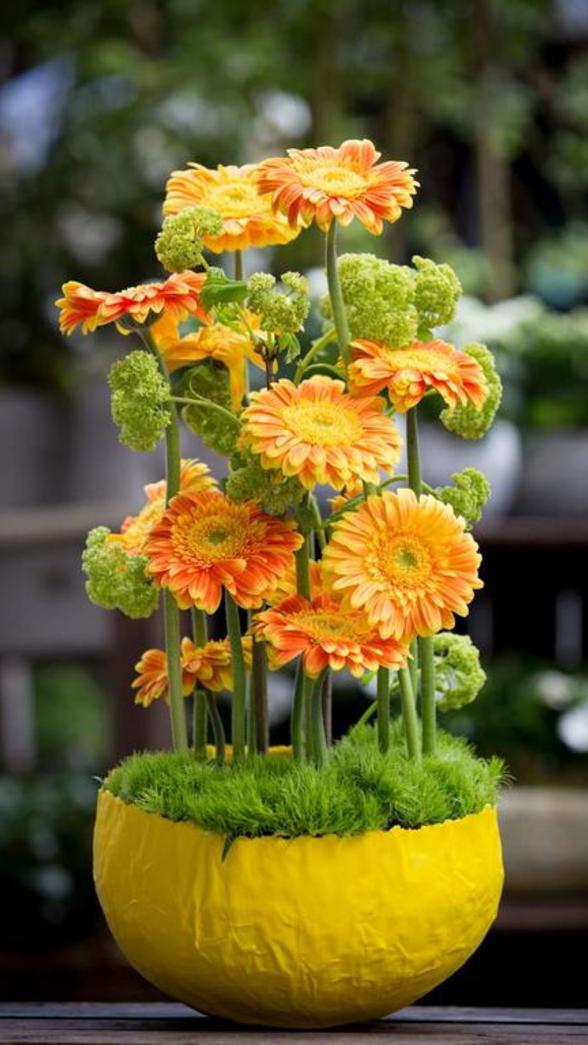 gerberas mini en coquille