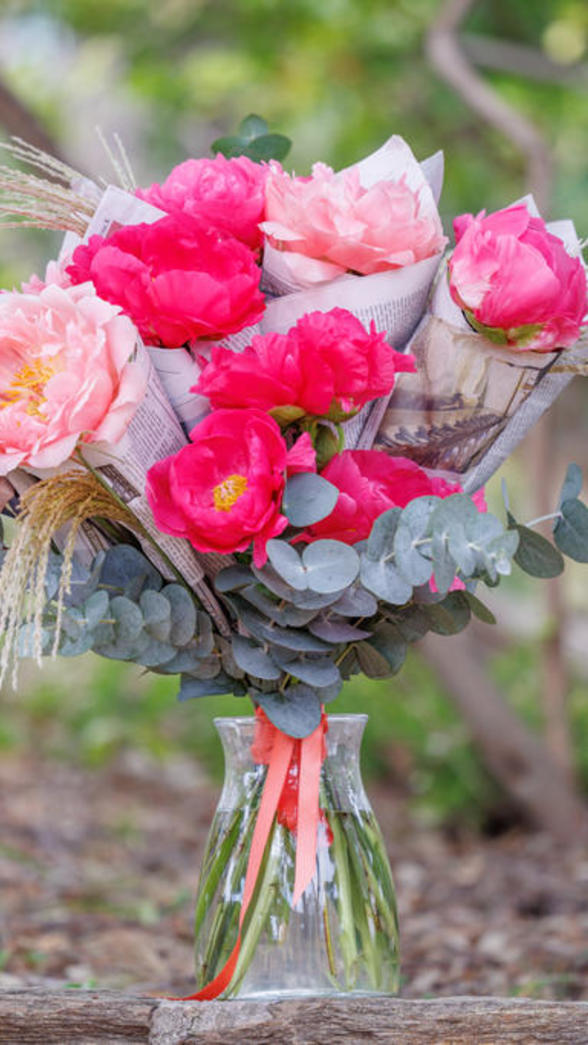 Pivoine-bonnes-nouvelles-hortisud-bouquet-chanteloube