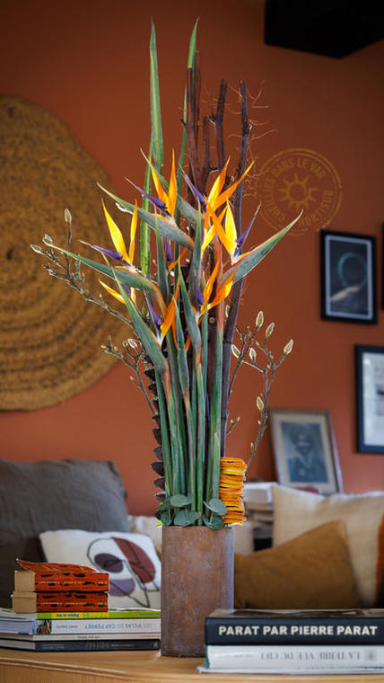 totem-chanteloube-strelitzia