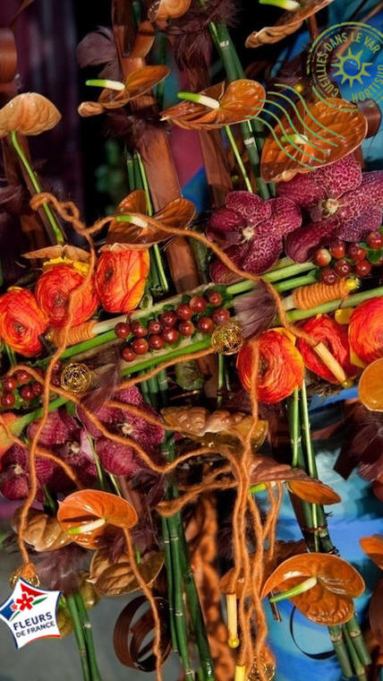 anthurium orange