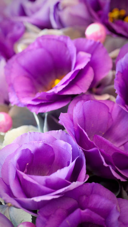 Lisianthus bleu foncé violet bouquet1