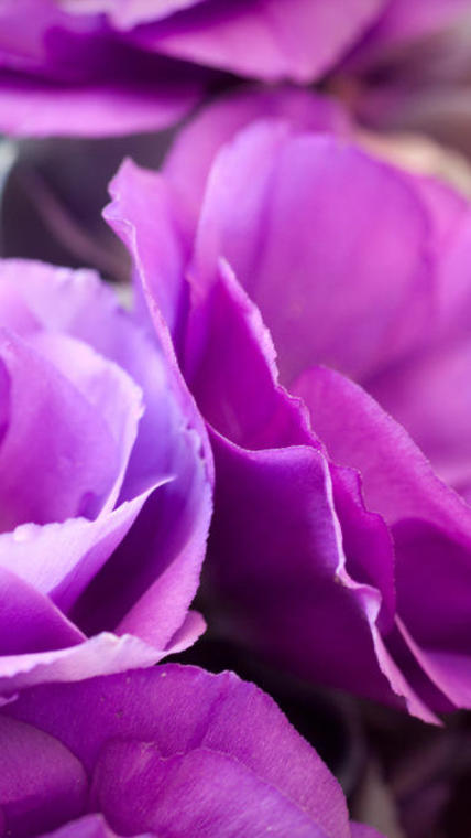 Lisianthus bouquet