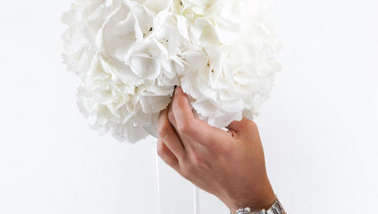 boule hortensia