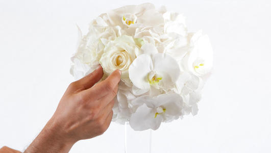 roses orchidées hortensia