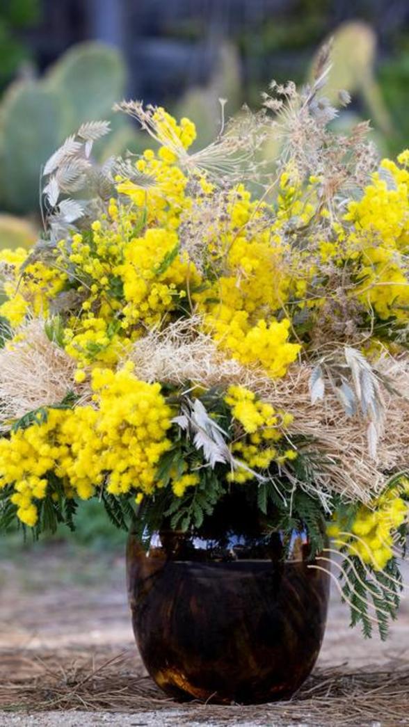 bouquet mimosa