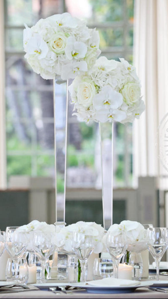 bulles-bonheur-hortensia-hortisud.jpg