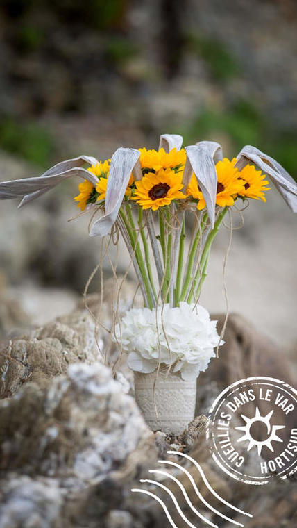 tournesols en fleur Hortisud