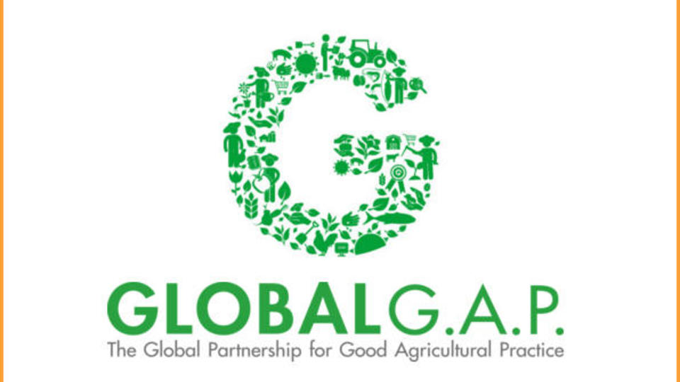 Renouvellement du label Global Gap Divers Actualités