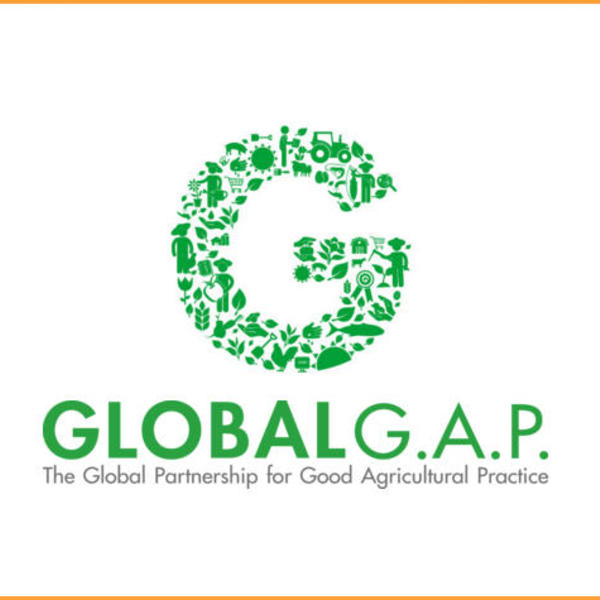 global gap