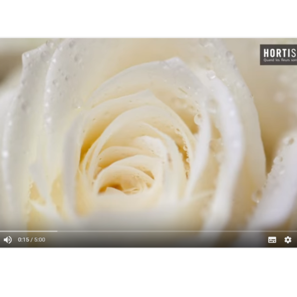 hortisudVideo