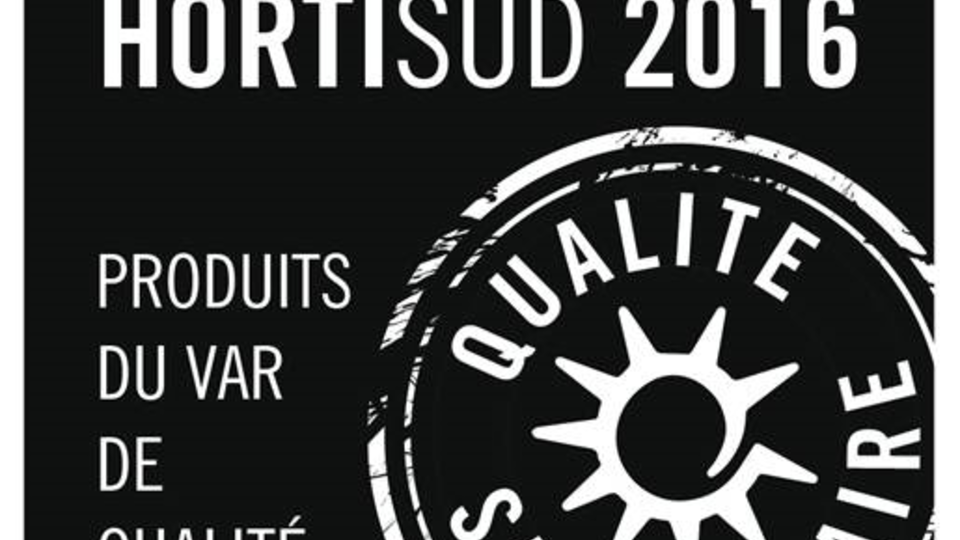 vitro2016